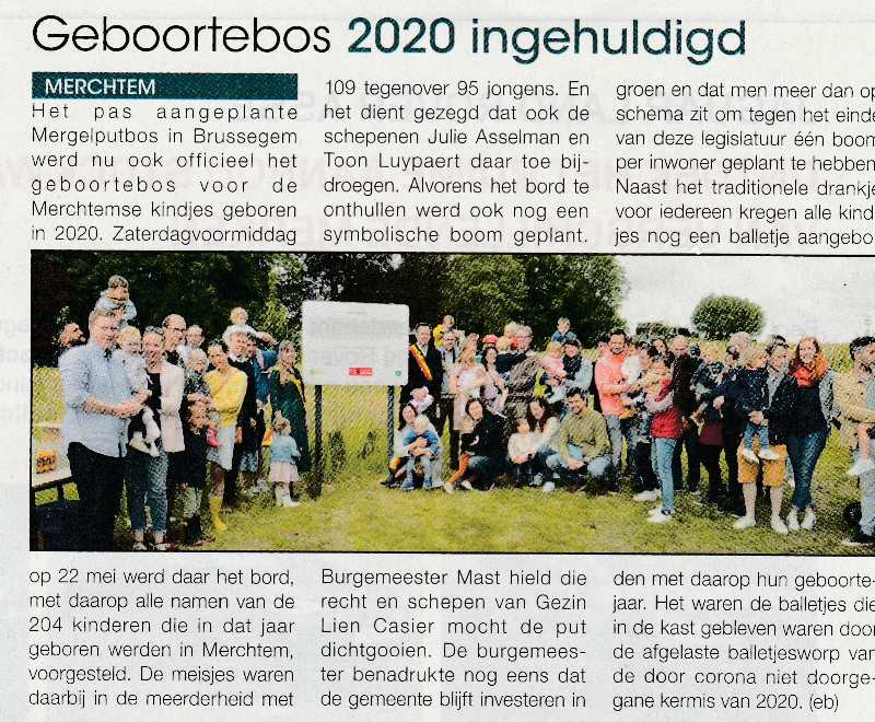 bomen planten